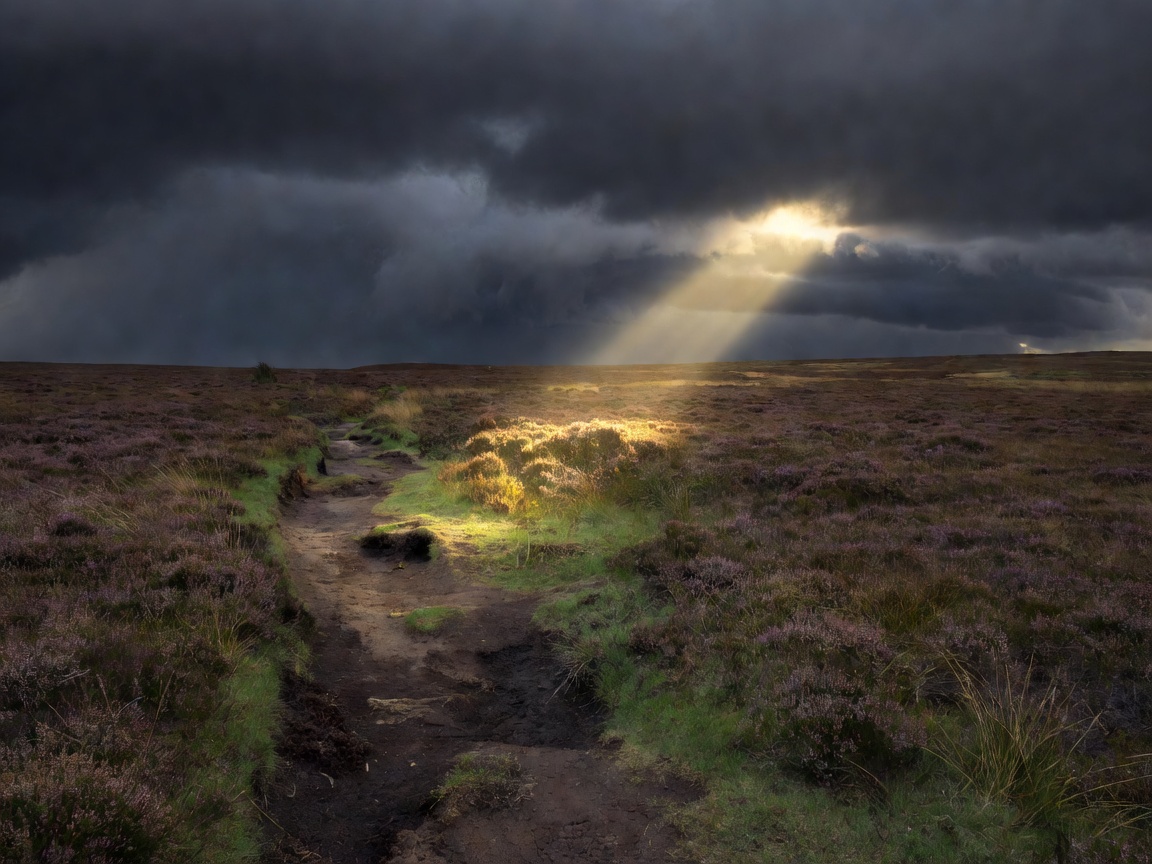 Open moorland footpath under heavy dark clouds with a single shaft of light on the heather